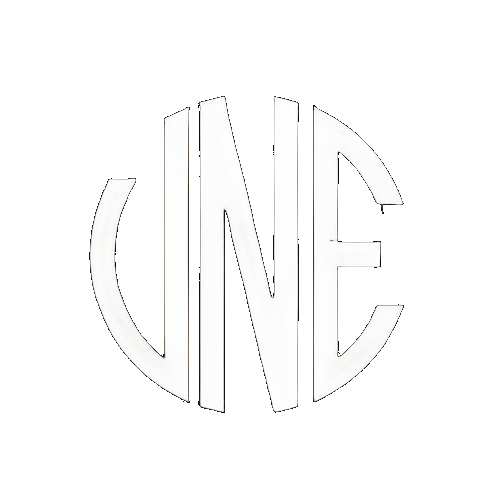 Vne